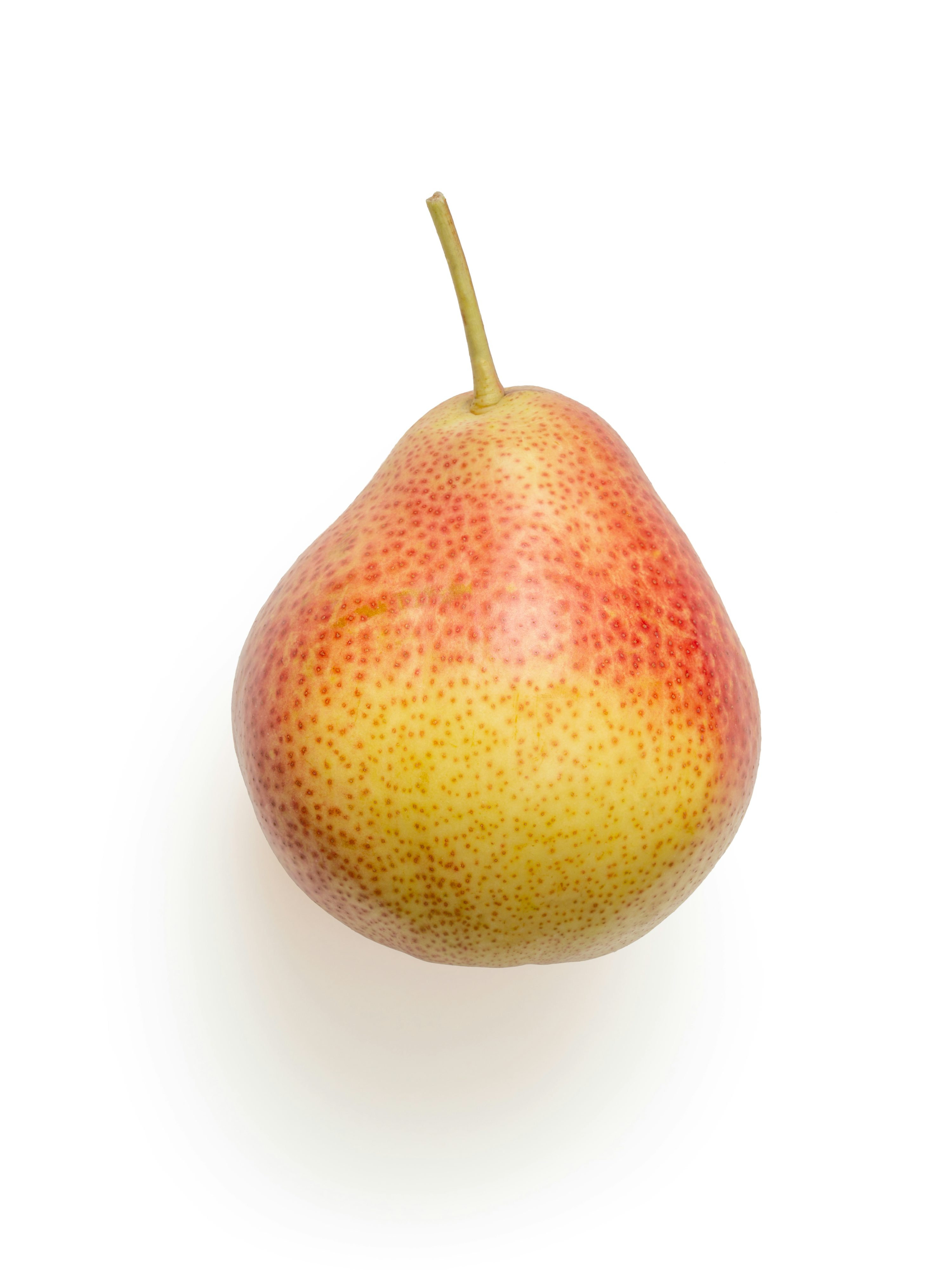 English Pear